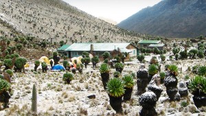 Mount Kenya Trekking