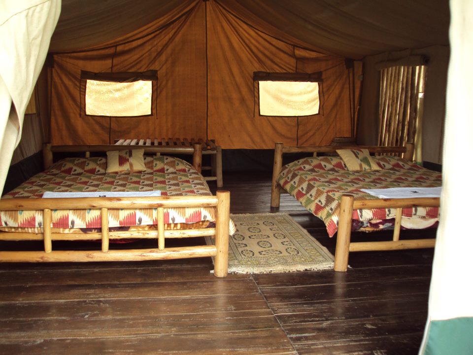 The Gorilla Resort - Image 9