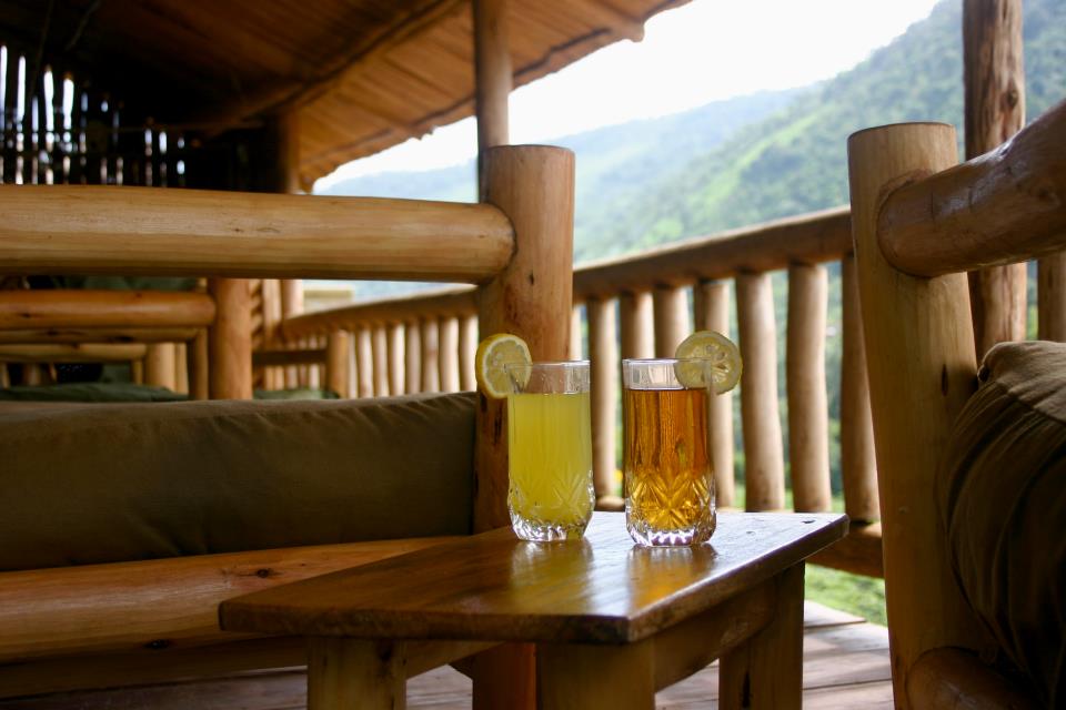 The Gorilla Resort - Image 5