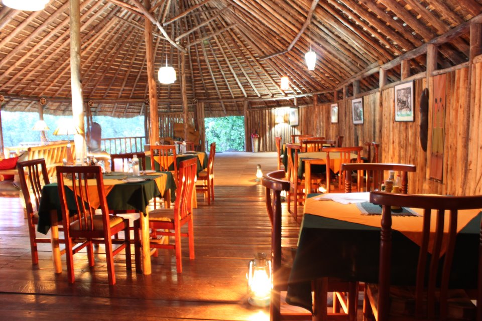 The Gorilla Resort - Image 3