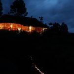 The Gorilla Resort - Image 2