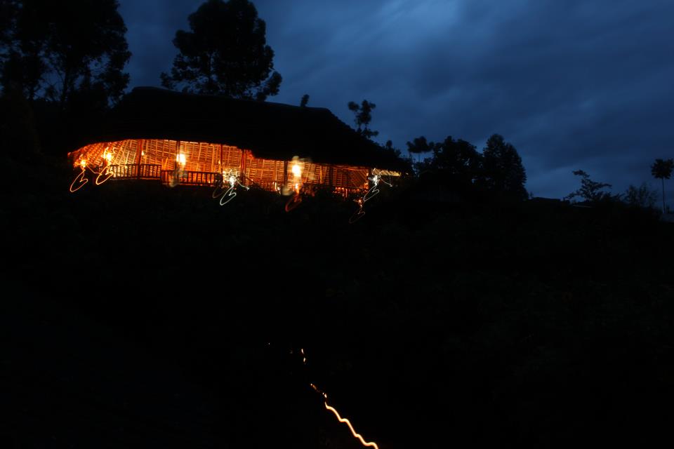 The Gorilla Resort - Image 2
