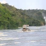 one day Murchison falls safari