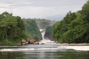 Uganda safaris packages